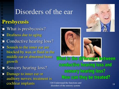 PPT - 3.04 Functions and disorders of the ear PowerPoint Presentation, free download - ID:5624964