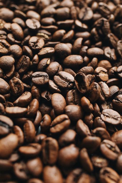 Coffee Beans in Close Up Photography · Free Stock Photo