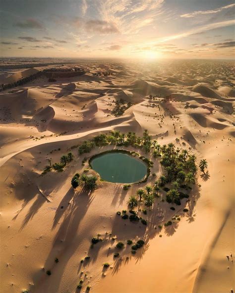 Beautiful Desert Oasis