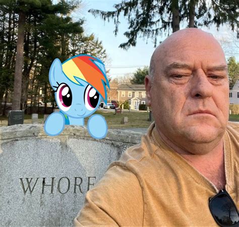 hank schrader and rainbowdash || breaking bad Breaking Bad Cast, Better ...