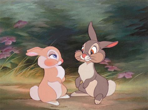 Thumper Wallpapers - Top Free Thumper Backgrounds - WallpaperAccess