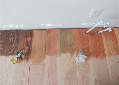 Mastering Douglas Fir Staining Techniques