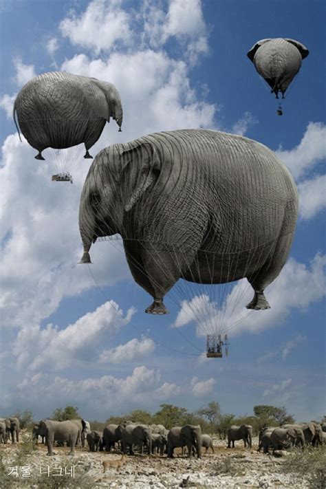 1@bonsoirmichel on Twitter | Surreal art, Hot air balloon, Air balloon