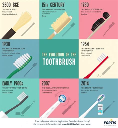 The Evolution of the Toothbrush Infographic | Dental facts, Brushing teeth, Dental