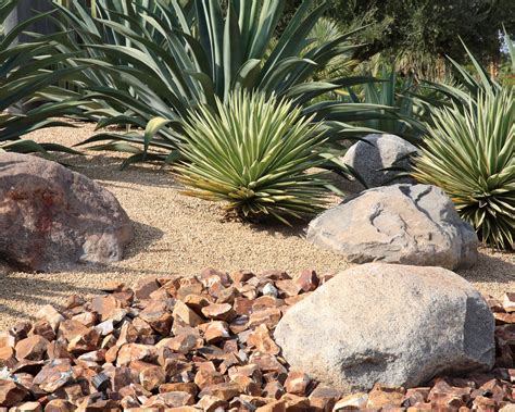 A 7-step guide to xeriscaping for a climate-friendly yard | Real Homes