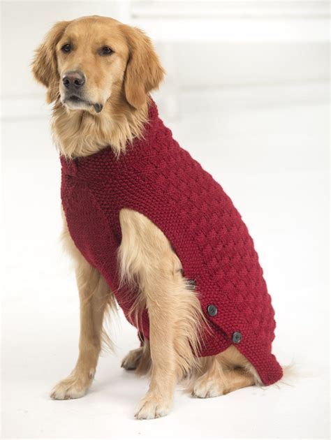 Knitting Patterns For Small Dogs Coats - Mike Nature