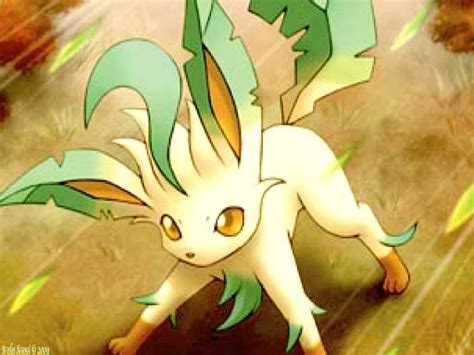 Leafeon - Pokémon Fan Art (28111926) - Fanpop