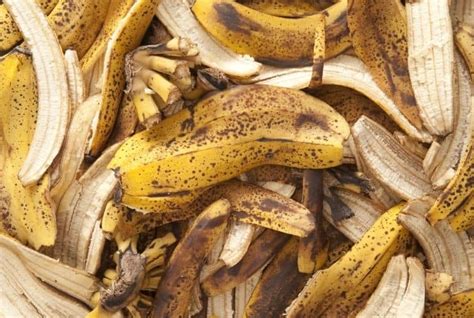 Can You Recycle Banana Peels? (And Put Them in the Compost?) - Conserve ...