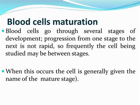 PPT - Normal Cell Maturation PowerPoint Presentation, free download - ID:1421044