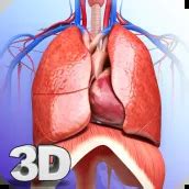 Download Respiratory System Anatomy Pro android on PC