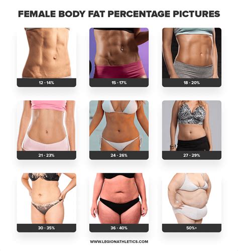 Body Fat Percentage Calculator: Estimate Your BF% | Legion | Body fat ...