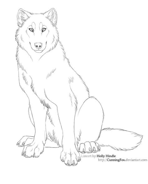 Drawing Of A Wolf Sitting at PaintingValley.com | Explore collection of ...