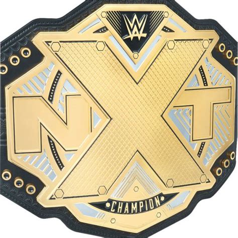 WWE NXT Championship Replica Title Belt | FighterXFashion.com