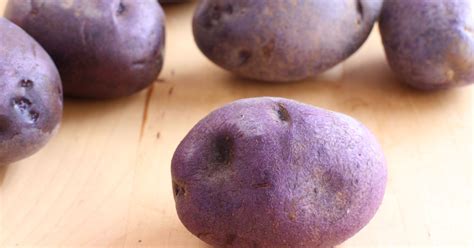 When to plant antioxidant-rich purple potatoes