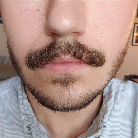 Looking for trimming/styling advice for my Chevron : r/Moustache