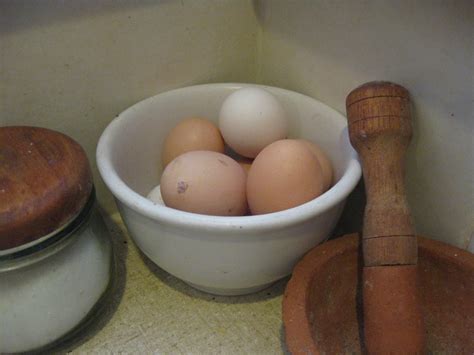 Chook porridge - cheap chook food!