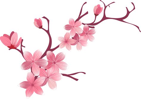 Download Hd Sakura Png Cherry Blossom Branch Png Transparent Png - Riset