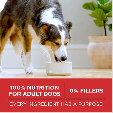 Purina ONE SmartBlend Chicken & Rice Adult Formula Dry Dog Food, 31.1 ...