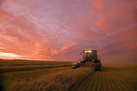 Farmer Harvesting Oat Crop Photograph by Dave Reede - Pixels