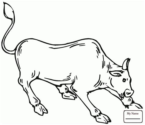 Bucking Bull Drawing at GetDrawings | Free download