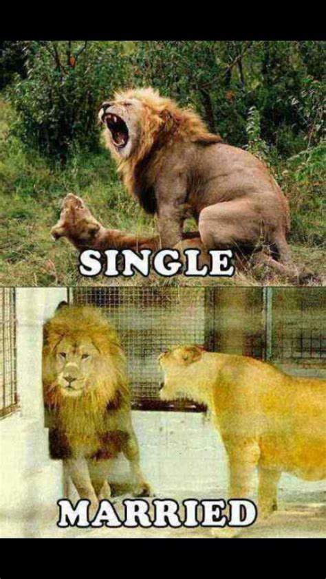 single vs married - Meme by unclestinky :) Memedroid