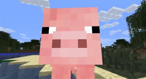 Minecraft Pig Face Wallpaper