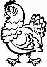 Printable Chicken Coloring Pages  Coloring Home sketch template