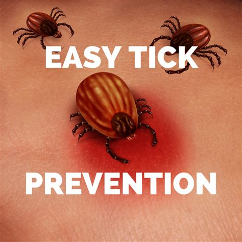 Tick Prevention — The Gundog Workshop