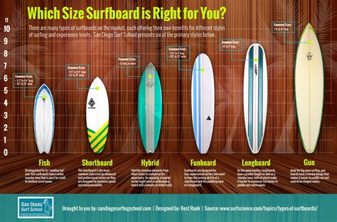 Type of Surf Boards (With images) | Surfboard, Surfing, Fish surfboard