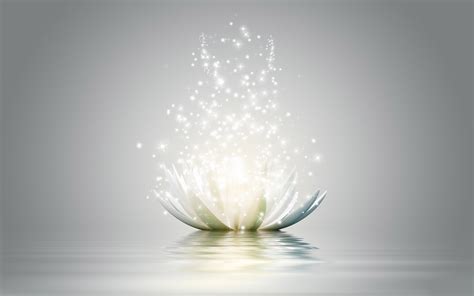 🔥 [69+] Lotus Flower Backgrounds | WallpaperSafari