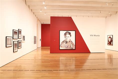 High Museum of Art, Atlanta: Vik Muniz | VikMuniz