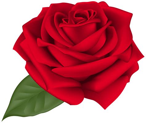 Single Red Rose Clip Art