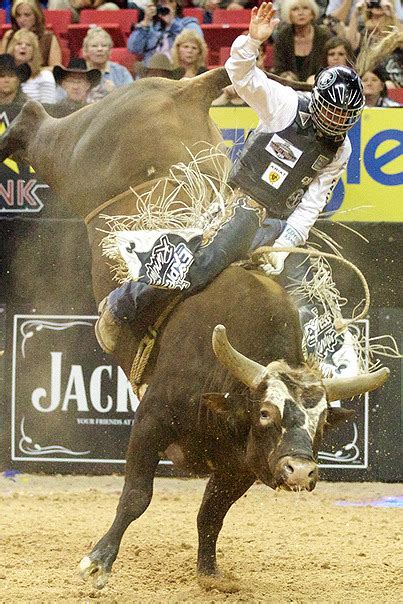 mischievouslittleangel: Bushwacker - PBR Bucking... - Who remembers ...