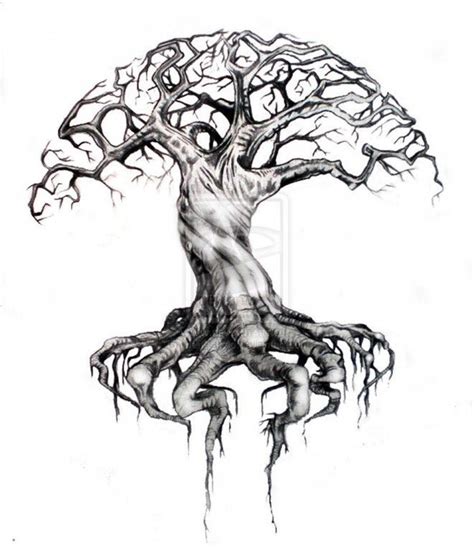 tree drawings | Celtic tree tattoos, Tree of life artwork, Bonsai tree ...