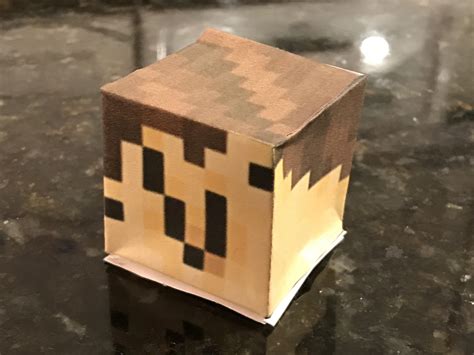 I turned my minecraft head into paper. : Minecraft