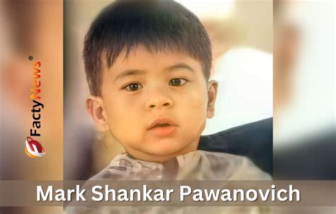 Mark Shankar Pawanovich (Pawan Kalyan's Son) Wiki, Family, Date of ...