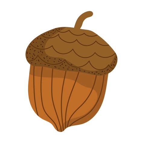 acorn nut icon 12020894 Vector Art at Vecteezy