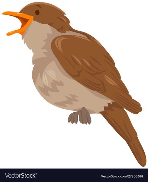 Nightingale bird animal cartoon character vector image on VectorStock in 2024 | Animals ...