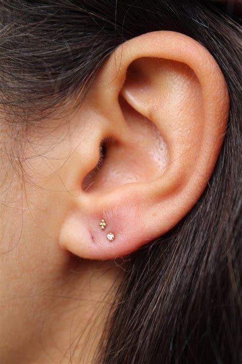 29 Insanely Cool Ear Piercing Ideas That'll Have You Rolling Up To ...