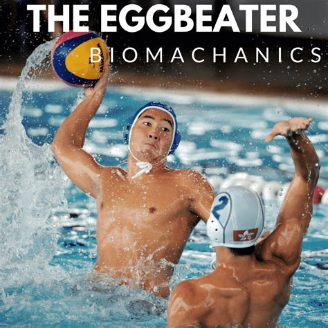 Eggbeater Biomechanics - Swimming Science