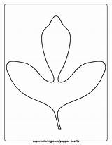 Sassafras Leaf Template  Free Printable Papercraft Templates sketch template