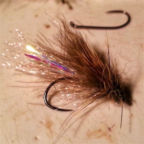 Thoughts on Dry Fly Fishing the Smoky Mountains Western North Carolina