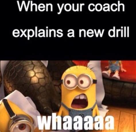 Funny Quotes About Coaches. QuotesGram