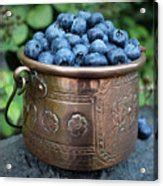 Antique French Pot Full of Blueberries Photograph by Vicky Adams