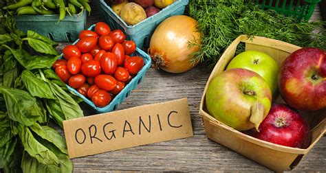 Organic Food and Cancer: How to Reduce Your Cancer Risk