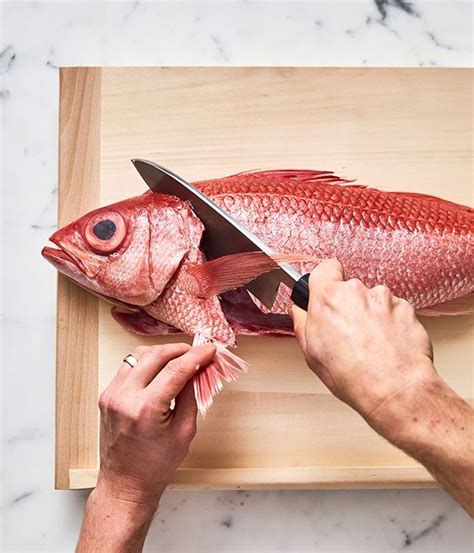 How to fillet a fish | Cleaning fish, Fish, Fillet
