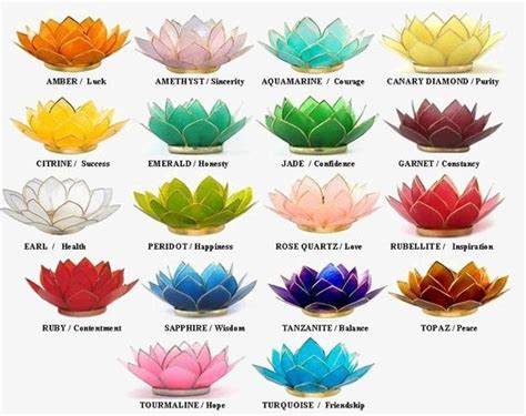 Lotus PNG Images, Lotus Clipart, Color Lotus, Creative Lotus PNG ...