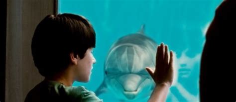 Dolphin Tale Movie Review