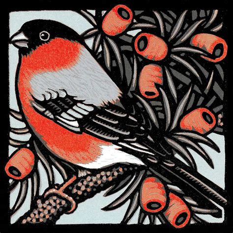 Shop — Jill Kerr Linocuts | Linocut, Bullfinch, Bird art