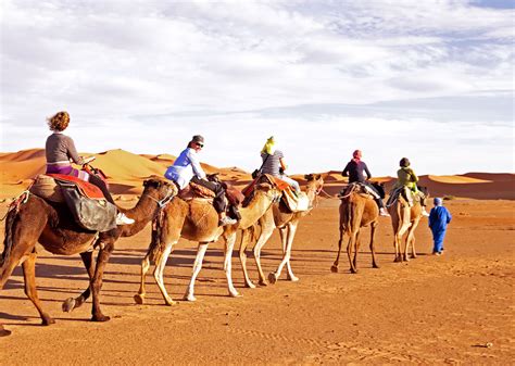 Is Camel Riding Ethical? How to Have a Cruelty-Free Camel Riding Experience